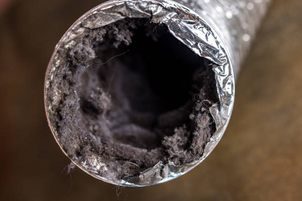 Best Commercial Air Duct Cleaning in Lamoni, IA